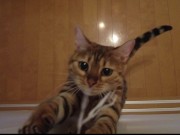 Your face is my target (#pussyjumpchallenge)