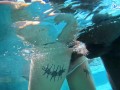 Hot Amateur Fucked By Bbc Penis Underwater