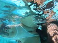 Hot Amateur Fucked By Bbc Penis Underwater