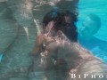 Bi The Pool Compilation