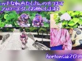 ［ハメ撮り/エロ尻］Tバック履いたままバックで挿入　素人カップル　イチャイチャセックス　エロ下着　日本人　後背位　尻フェチ　