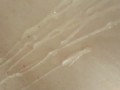 my mature wife didn't expect me to fuck her | mature mom likes fake cum