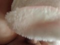 Foya sweet plump furry wife gets fake sperm in her mouth and blows it