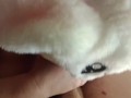 Foya sweet plump furry wife gets fake sperm in her mouth and blows it