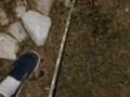 Risky Pissing In The Back Yard at Night While Wife's Home