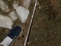 Risky Pissing In The Back Yard at Night While Wife's Home