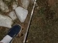 Risky Pissing In The Back Yard at Night While Wife's Home