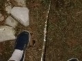 Risky Pissing In The Back Yard at Night While Wife's Home