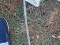 Backyard pissing full video