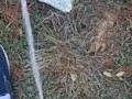 Backyard pissing full video