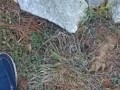 Backyard pissing full video