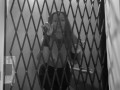 Dani Daniels Spooky Vampire Halloween Solo