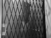 Dani Daniels Spooky Vampire Halloween Solo