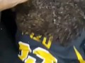Glitter everywhere(backshots) pt 2