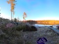 Sex on a reindeer skin next to a forest lake - RosenlundX - VR 360 - 5,7k 30fps