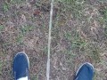 Backyard Pissing