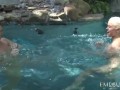 69ing Hotties Abby Lexus And Ash Hollywood Dildo Drill Their Cunts Poolside