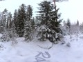 Sex in the winter forest while the snow is falling - RosenlundX - VR 360 - 5,7k 30fps