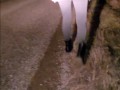 Desperation Roadside Piss from my pussy on the 813 in Athabasca