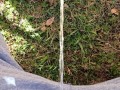 Backyard Pissing Sitting Down