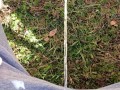 Backyard Pissing Sitting Down
