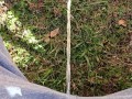 Backyard Pissing Sitting Down