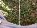 Backyard Pissing Sitting Down