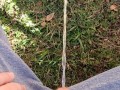 Backyard Pissing Sitting Down