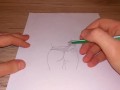 Drawing a beutiful female ass