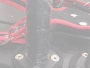 BabeJuicy Harness Belt Review