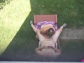 Backyard Blowjob's - A View From Above As Missy Sucks George's Cock