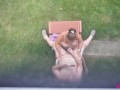 Backyard Blowjob's - A View From Above As Missy Sucks George's Cock
