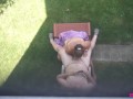 Backyard Blowjob's - A View From Above As Missy Sucks George's Cock