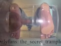 Cock and balls puncaked under glass 2 (preview, full video on Onlyfans) cock and ball trampling