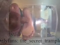 Cock and balls puncaked under glass 2 (preview, full video on Onlyfans) cock and ball trampling