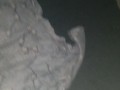 Blow job followed by a  good quick fuck