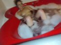 Dirty little slut takes a bubble bath in heart shaped tub and plays with feet 🛀😘💦