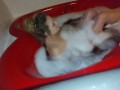 Dirty little slut takes a bubble bath in heart shaped tub and plays with feet 🛀😘💦