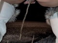 Desperation Pee in snow in - 21 weather on random road