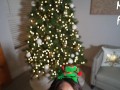 Santa Fucked My Little Elf Pussy So Hard, Best Christmas Gift Ever 🎅🏽🍆🧝🏽‍♀️