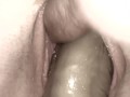 Cheating wife blindfolds husband dvp dpp double vaginal double penetration creampie to get pregnant