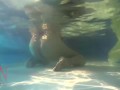 Elegant and flexible babe, swimming underwater in the outdoor swimming pool. 3 1