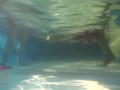 Elegant and flexible babe, swimming underwater in the outdoor swimming pool. 3 1
