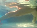 Elegant and flexible babe, swimming underwater in the outdoor swimming pool. 3 2