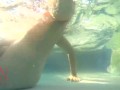 Elegant and flexible babe, swimming underwater in the outdoor swimming pool. 3 2