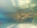 Elegant and flexible babe, swimming underwater in the outdoor swimming pool. 3 2