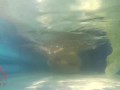 Elegant and flexible babe, swimming underwater in the outdoor swimming pool. 3 2