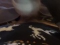 Je baise sa chatte le jour de noël