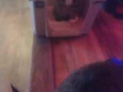 Cute cat makes his kitty litter his bed part 2