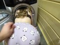 Sexy Babe Stuck In The Washing Machine And Fucked - Anny Walker